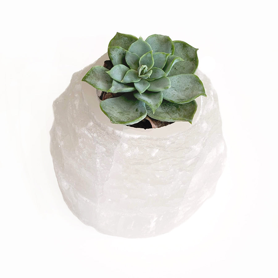 Selenite Candle Holder