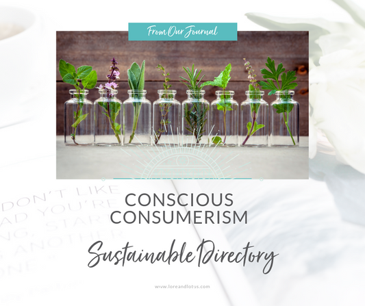 Conscious Consumerism: An Intro Series - Part 5 Sustainable Directory