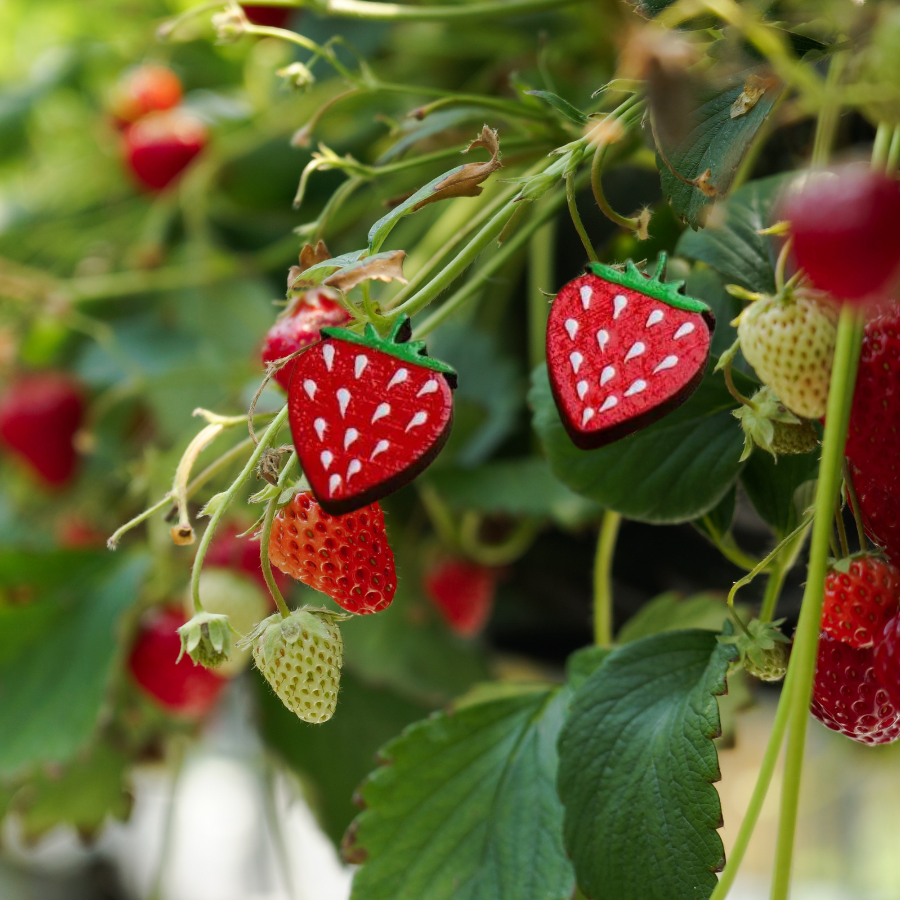 Strawberry Stud Earrings